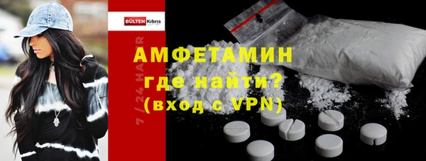 индика Абинск