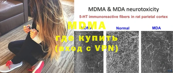 индика Абинск