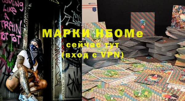 индика Абинск