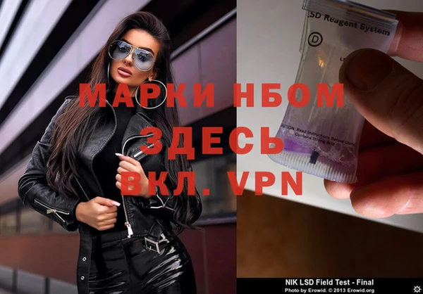 индика Абинск